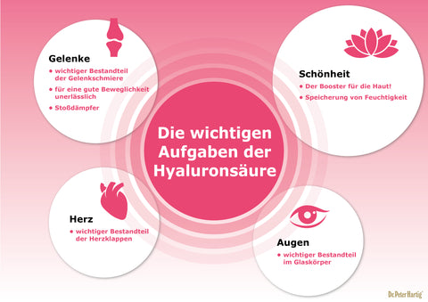 Hyaluron NM Plus Ermäßigte Mehrwertsteuer Dr. Peter Hartig