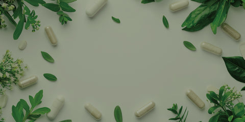 Unsere aktuellen Angebote