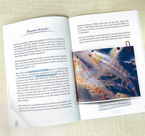 Buch: "Expedition in die Antarktis" Ermäßigte Mehrwertsteuer Dr. Peter Hartig