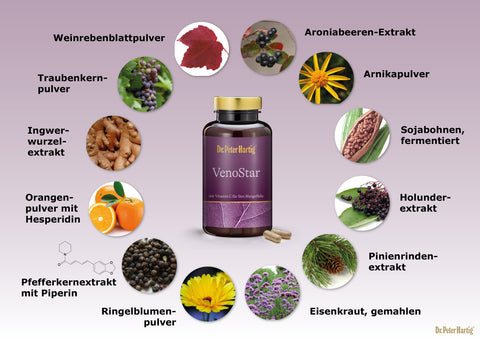 VenoStar Ermäßigte Mehrwertsteuer Dr. Peter Hartig