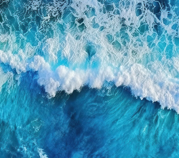 Produkte aus dem Wasser