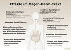 Darm M28 Ermäßigte Mehrwertsteuer Dr. Peter Hartig