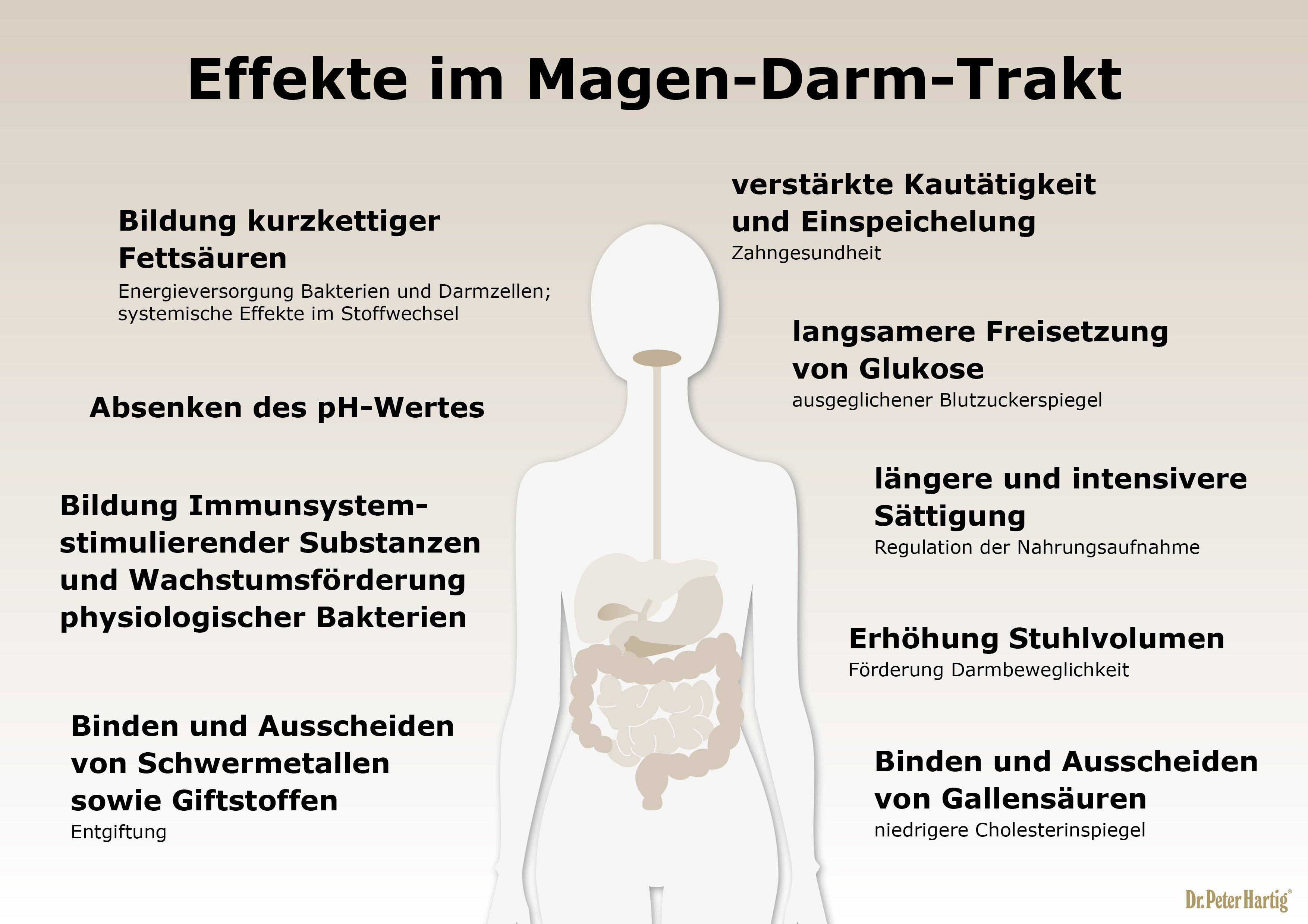 Darm M28 Ermäßigte Mehrwertsteuer Dr. Peter Hartig