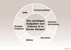 Shiitake D 1000 Ermäßigte Mehrwertsteuer Dr. Peter Hartig