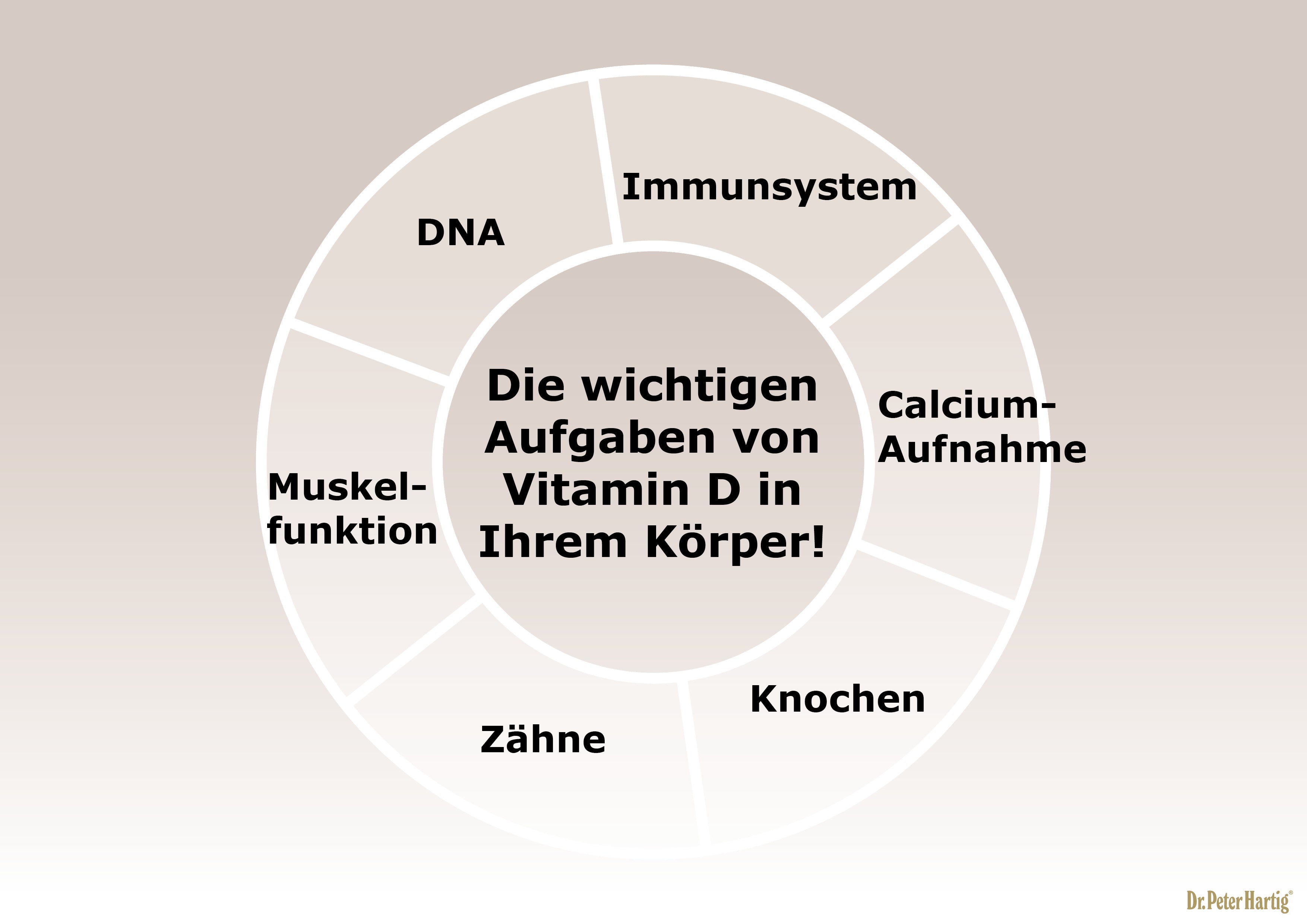 Shiitake D 1000 Ermäßigte Mehrwertsteuer Dr. Peter Hartig