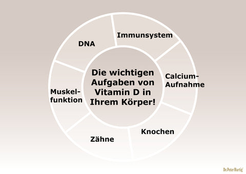 Shiitake D 1000 Dr. Peter Hartig
