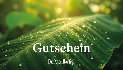 Digitaler Geschenkgutschein für den Onlineshop