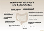 Darm M28 Ermäßigte Mehrwertsteuer Dr. Peter Hartig