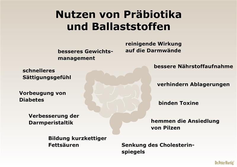 Darm M28 Ermäßigte Mehrwertsteuer Dr. Peter Hartig