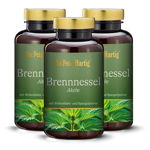 Brennnessel Aktiv - 3er Pack