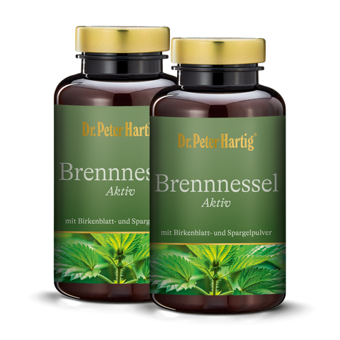 Brennnessel Aktiv