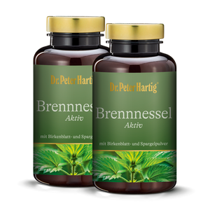 Brennnessel Aktiv - 2er Pack