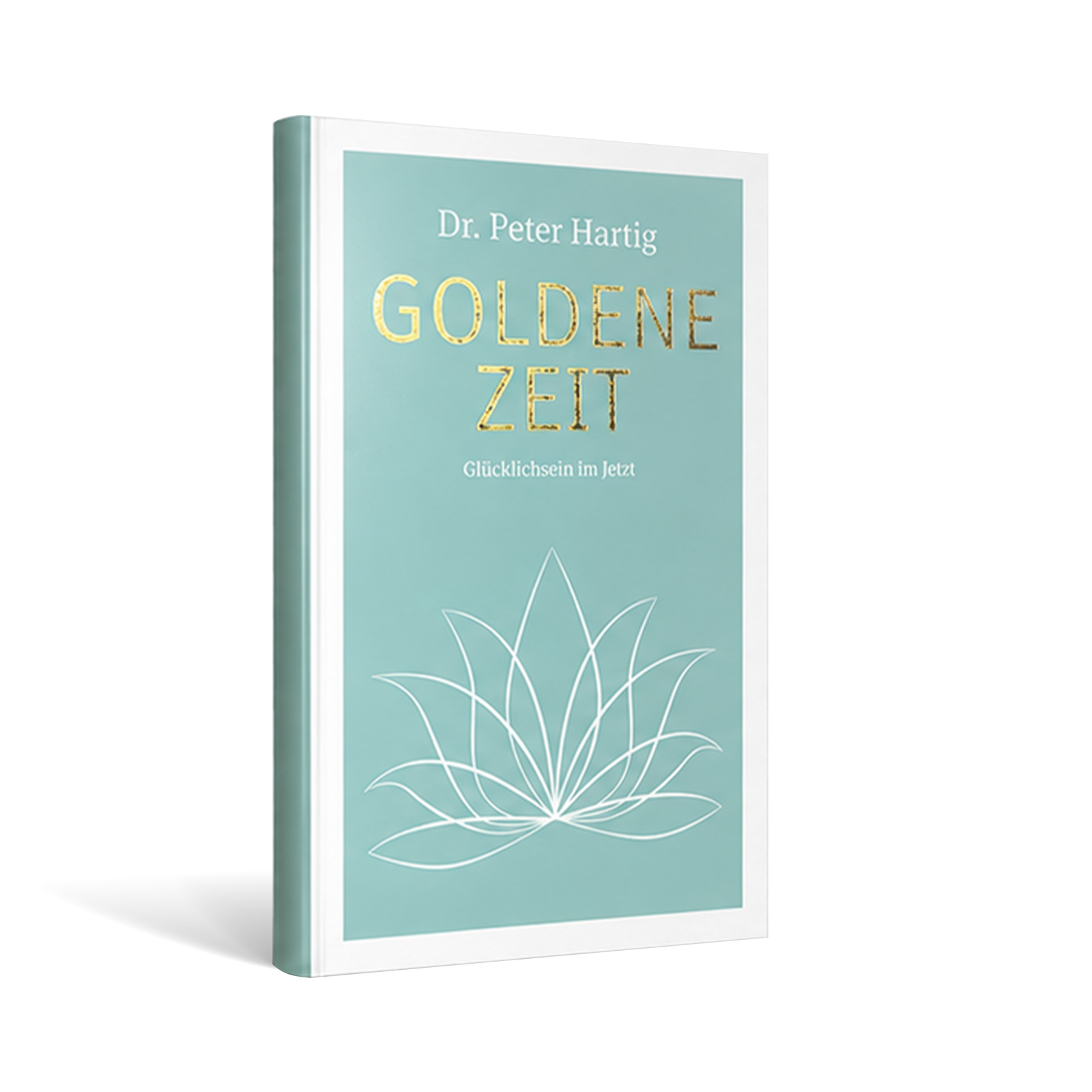 Buch: "Goldene Zeit" Ermäßigte Mehrwertsteuer Dr. Peter Hartig Buch