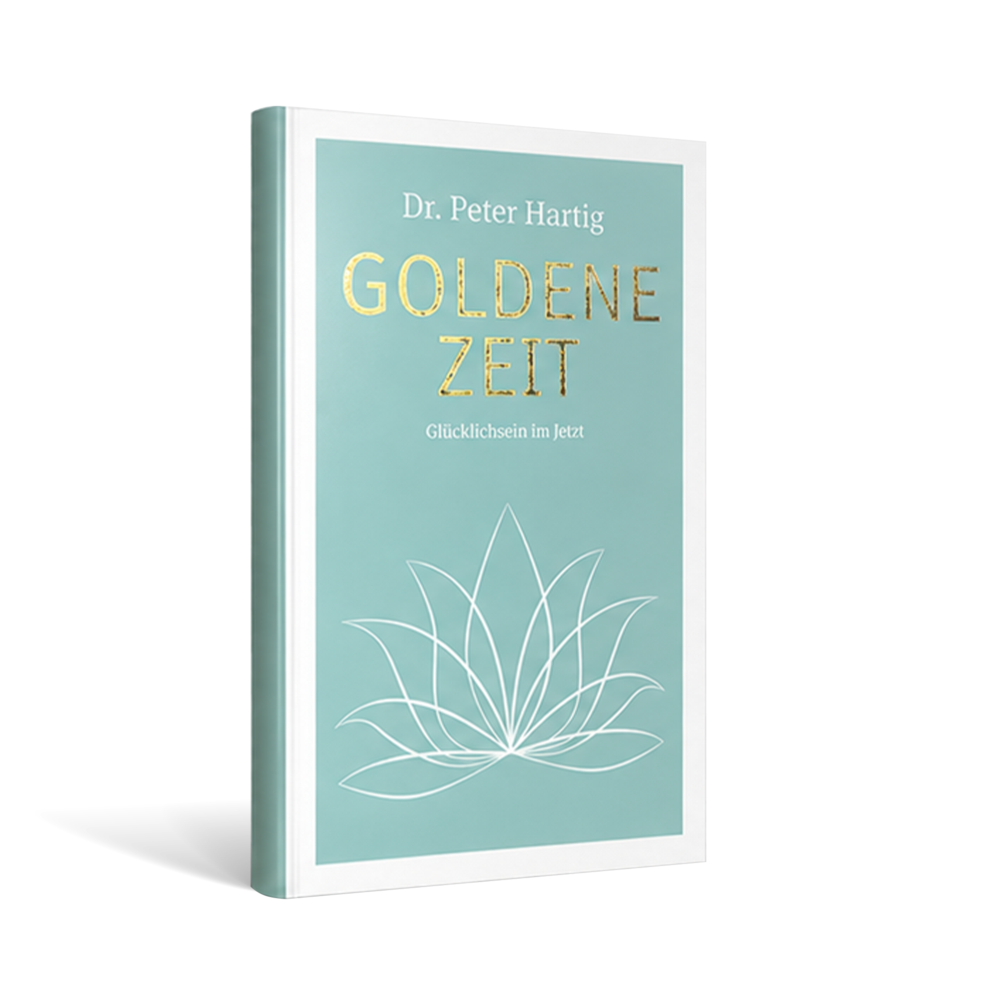 Buch: "Goldene Zeit" Ermäßigte Mehrwertsteuer Dr. Peter Hartig Buch