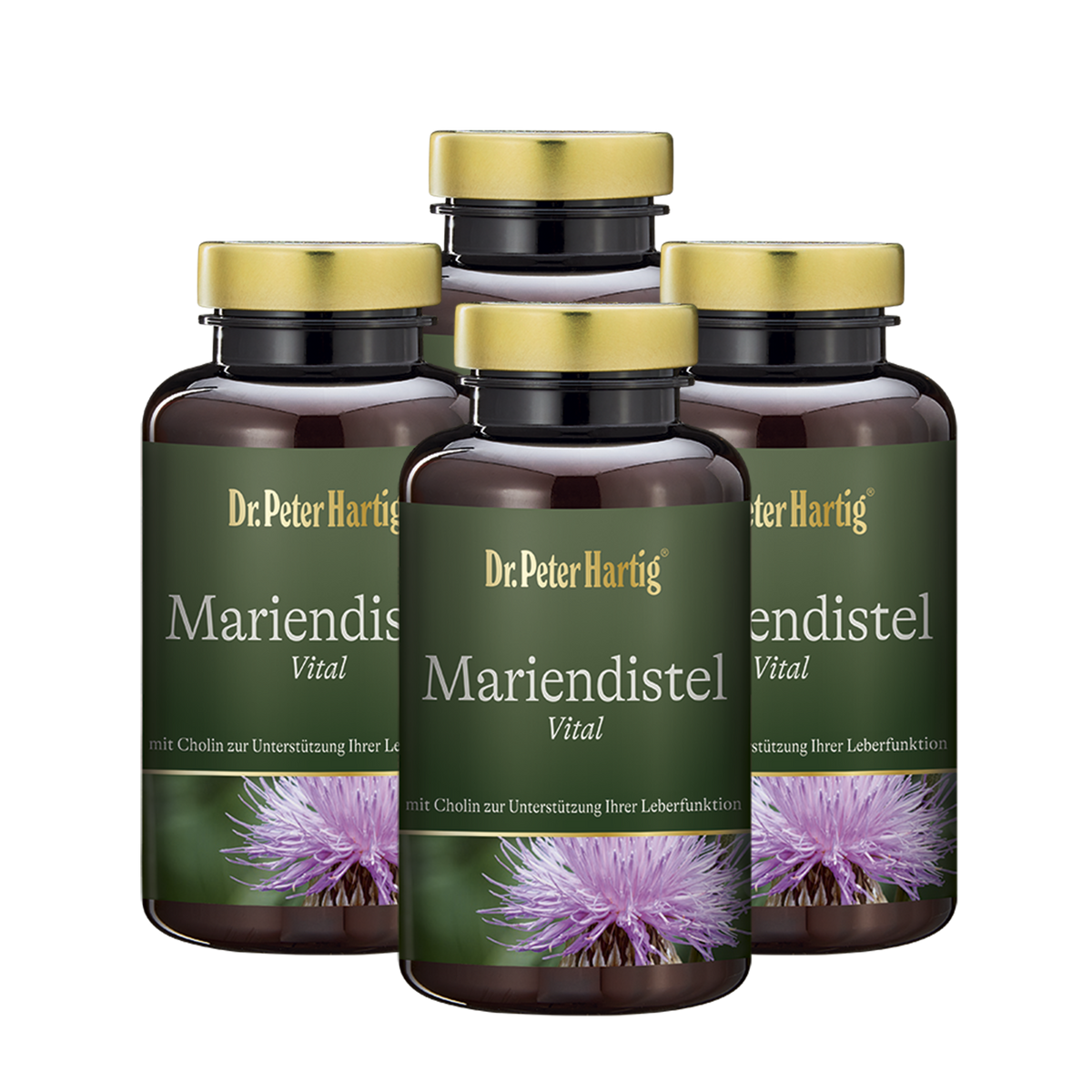 Mariendistel Vital Ermäßigte Mehrwertsteuer Dr. Peter Hartig 4 x 120 Kapseln