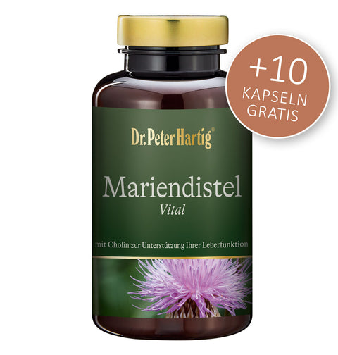 Mariendistel Vital