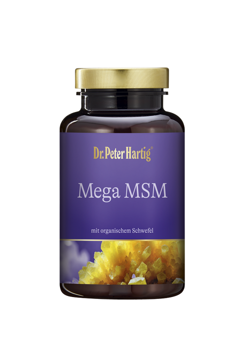 Mega MSM
