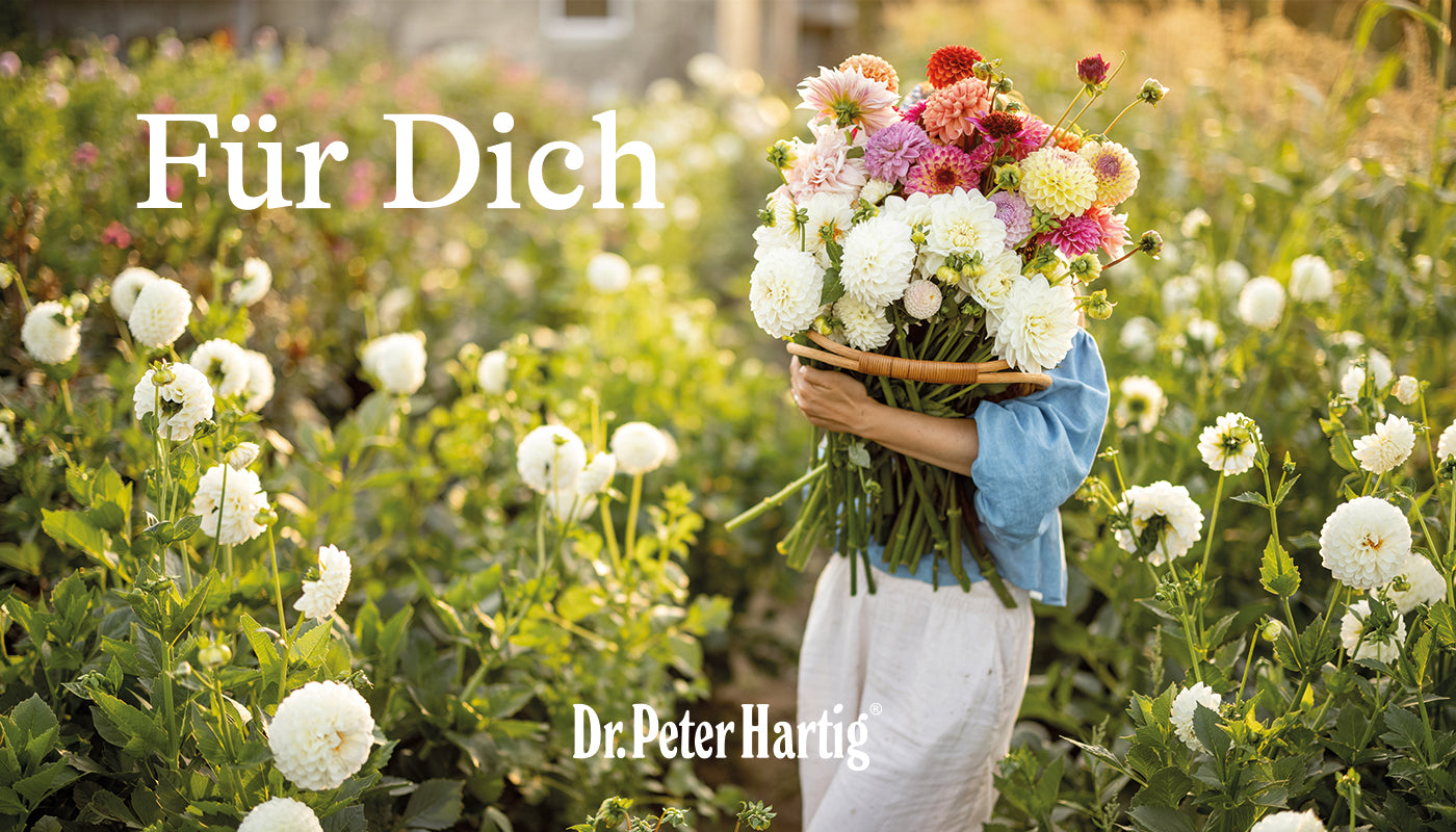Digitaler Geschenkgutschein für den Onlineshop Dr. Peter Hartig
