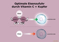 Eisen Plus C Dr. Peter Hartig
