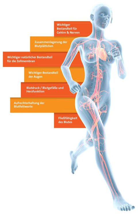 Omega 3 Lachsöl