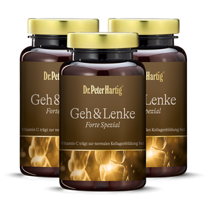Geh & Lenke Forte Spezial - 3er Pack