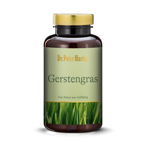 Gerstengras Kapseln
