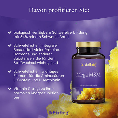 Mega MSM Ermäßigte Mehrwertsteuer Dr. Peter Hartig