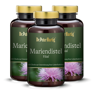 Mariendistel Vital - 3er Pack