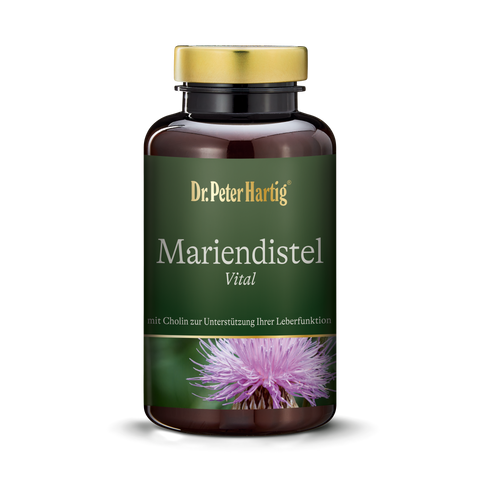 Mariendistel Vital Dr. Peter Hartig