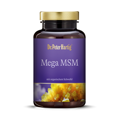 Mega MSM Ermäßigte Mehrwertsteuer Dr. Peter Hartig