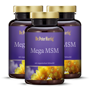 Mega MSM - 3er Pack