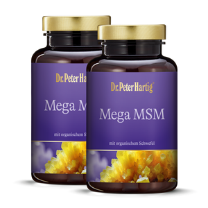 Mega MSM - 2er Pack