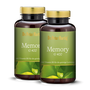 Memory G 400 - 2er Pack