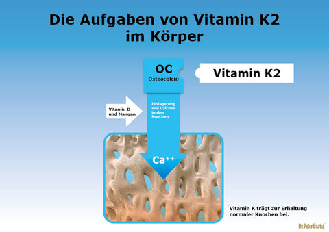 Osteo K2