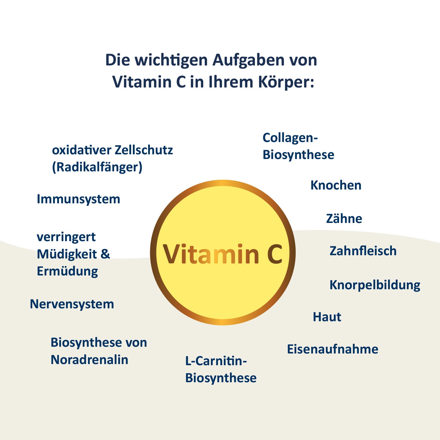 Acai Vitamin C Ermäßigte Mehrwertsteuer Dr. Peter Hartig