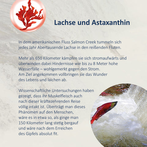 Astaxanthin