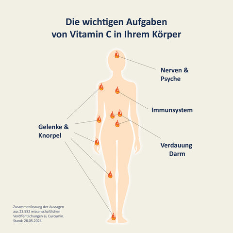 Curcumin Plus C