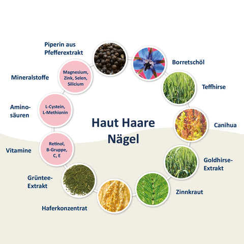 Haut Haare Nägel