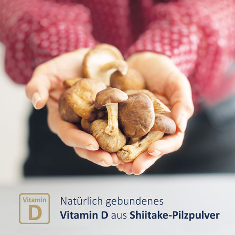 Shiitake D 1000