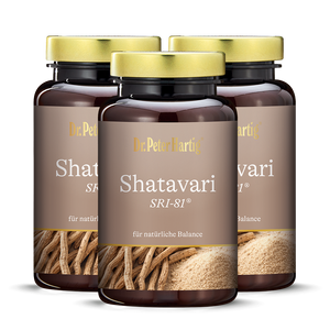 Shatavari SRI-81® - 3er Pack