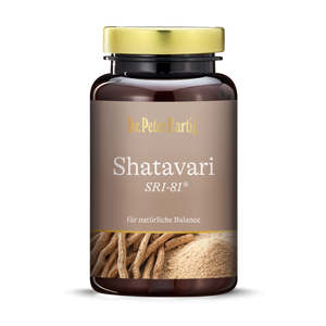 Shatavari SRI-81®