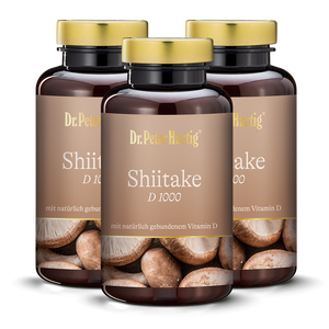 Shiitake D 1000 - 3er Pack