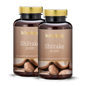 Shiitake D 1000 - 2er Pack