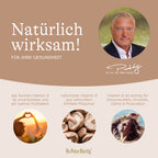 Shiitake D 1000 Ermäßigte Mehrwertsteuer Dr. Peter Hartig