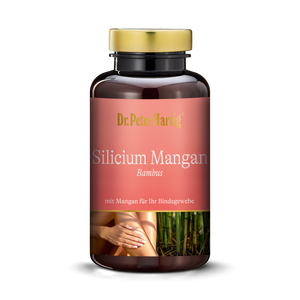 Silicium Mangan Bambus