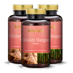 Silicium Mangan Bambus - 3er Pack