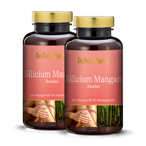Silicium Mangan Bambus - 2er Pack