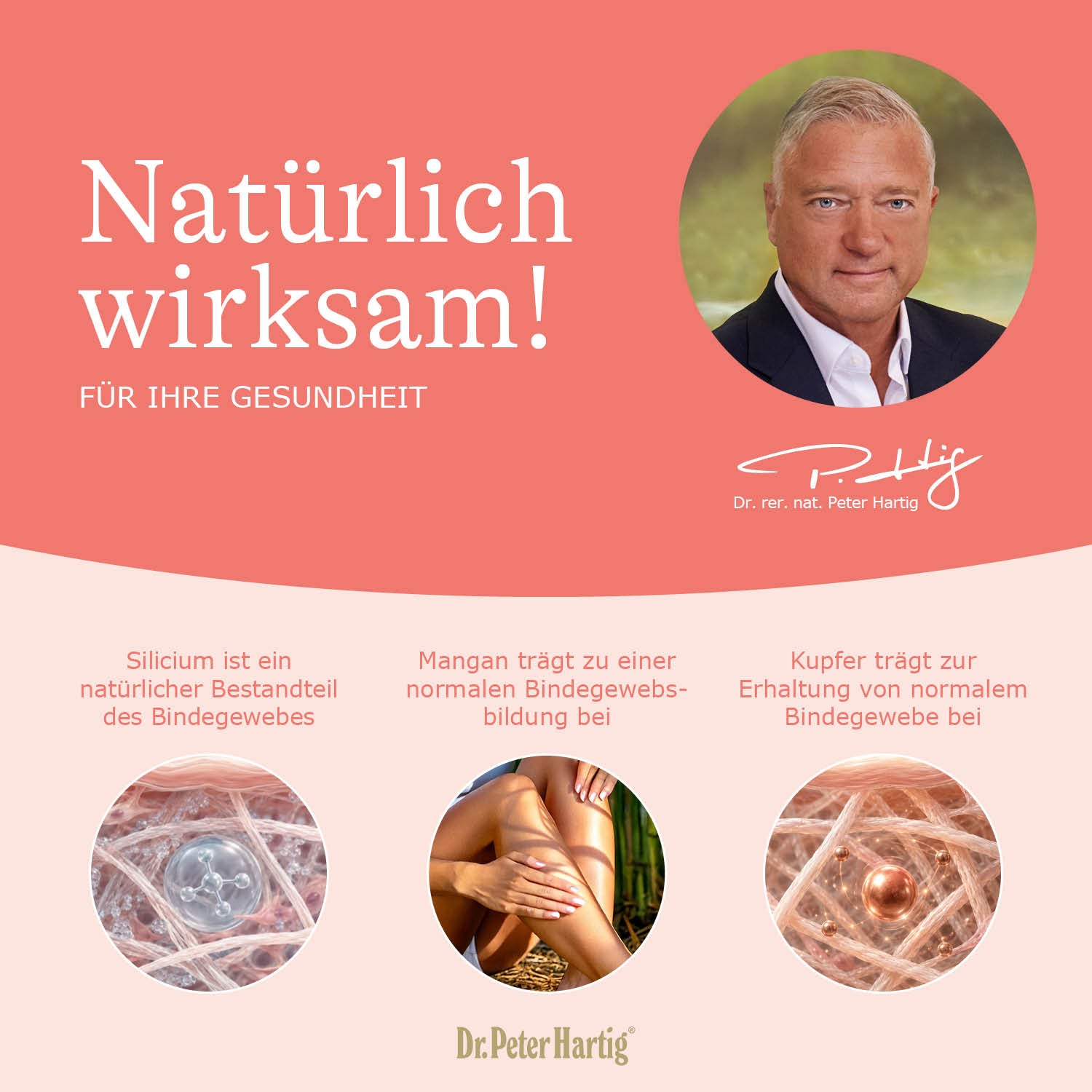 Silicium Mangan Bambus Ermäßigte Mehrwertsteuer Dr. Peter Hartig
