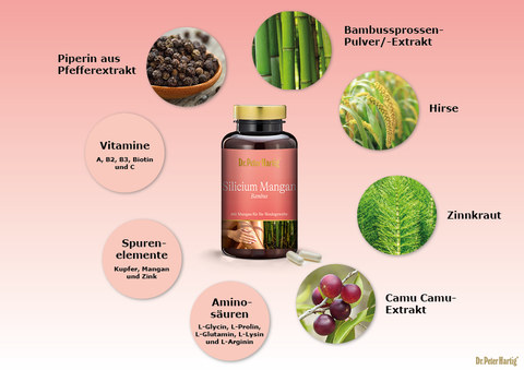Silicium Mangan Bambus Ermäßigte Mehrwertsteuer Dr. Peter Hartig