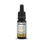 Spermidine D Vital Standard Mehrwertsteuer Dr. Peter Hartig 10 ml
